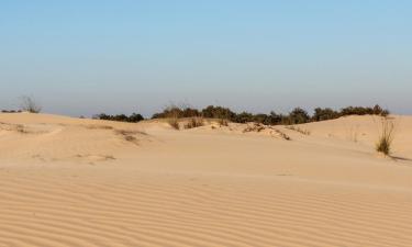 Hotéis que Aceitam Animais de Estimação em Loon op Zand