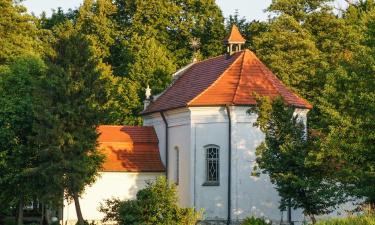 Hotels in Zwierzyniec