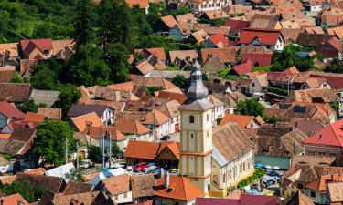 Hoteles con alberca en Răşinari