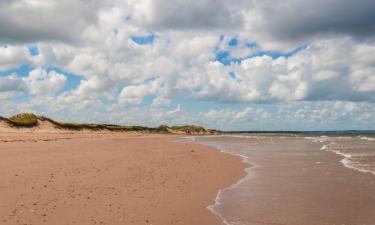 Hoteles que admiten mascotas en Brackley Beach