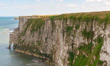 Svečius su gyvūnais priimantys viešbučiai mieste Bempton