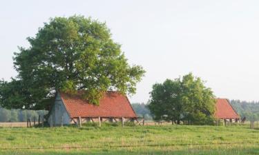 Poceni hoteli v mestu Diemelstadt 