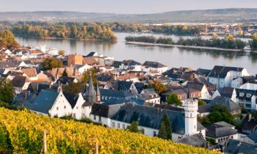 Casas de Hóspedes em Rüdesheim am Rhein