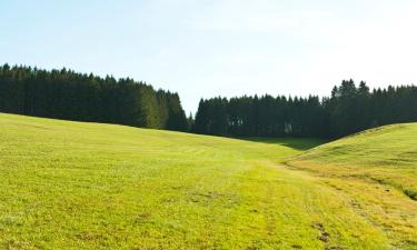 Hotelek Sondershausenben