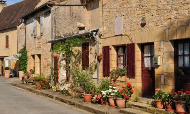 Hoteles en Saint-Léon-sur-Vézère