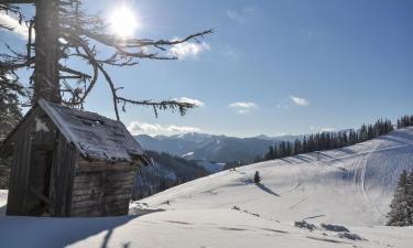 Vakantiehuizen in Mürzsteg