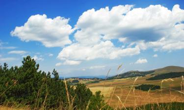 Lággjaldahótel í Zlatibor