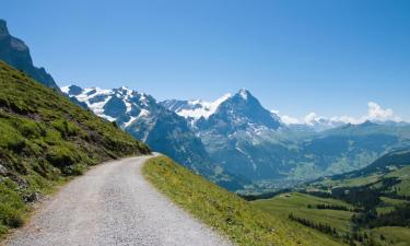 Hotellit kohteessa Meiringen