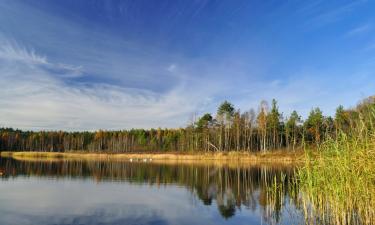 Hotely v destinácii Wierzchowiska