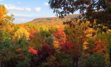 Cottages in Tannersville