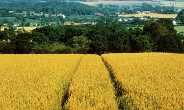 Bed & breakfast-steder i Cassel