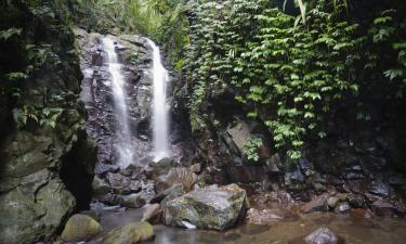 Hotéis em Canungra