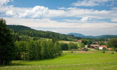 Apartamenty w mieście Sulzbach-Rosenberg