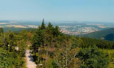 Poceni počitnice v mestu Ilmenau