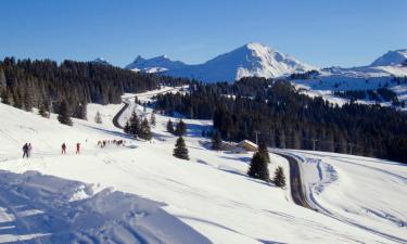 Apartamentos em Morzine