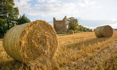 Allotjaments amb cuina a Loanhead