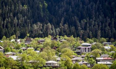 Hotel a Borjomi