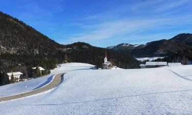 Hoteluri ieftine în Steinberg am Rofan