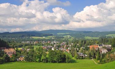 Ostelli a Hinterzarten