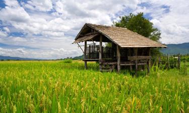 Villas in Pai