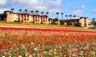 Günstiger Urlaub in Carlsbad