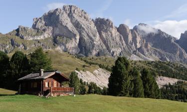 Cabin nghỉ dưỡng ở Selva di Val Gardena