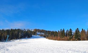 Hotell med pool i Oryavchyk