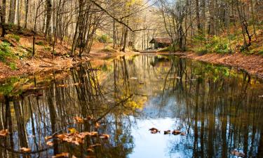 Hôtels à Bolu