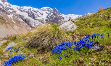 Bed and breakfasts a Gressoney-la-Trinité