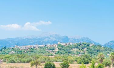 Casas y chalets en Sa Pobla