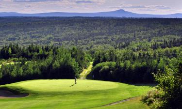 Hotellit kohteessa Gander