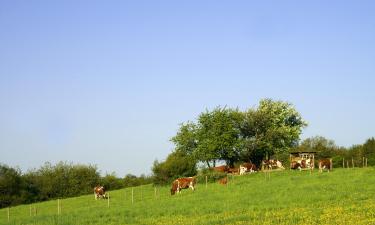 Hotel con parcheggio a Weibersbrunn