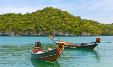 Wille w mieście Surat Thani