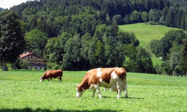 Lindenberg im Allgäu şehrindeki spalar