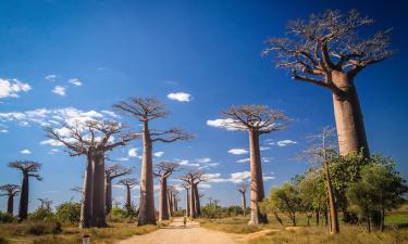 Lavprishoteller i Morondava