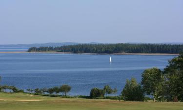 Huisdiervriendelijke Hotels in Saint Andrews