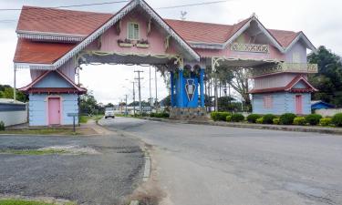 Huisdiervriendelijke Hotels in Araucária