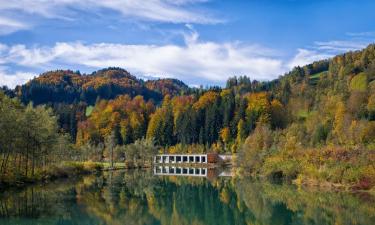 in Schwarzach im Pongau अपार्टमेंट