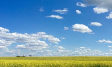 Hotéis econômicos em Spruce Grove