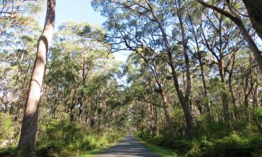 Hoteles en Berrima