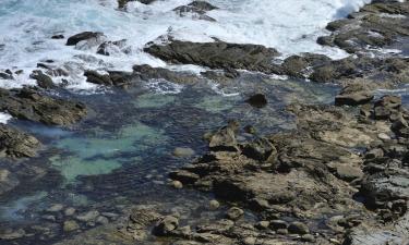 Appartamenti a Bateau Bay