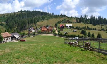 Hotel a Tău Bistra