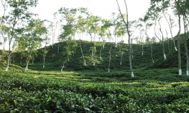 Hoteles en Sylhet