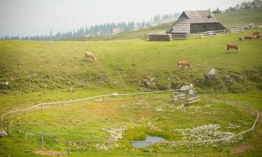 Ferienwohnungen in Domžale