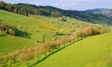 Hotels a Adenau