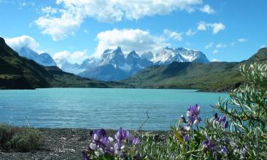 Povoljni hoteli u gradu 'Torres del Paine'