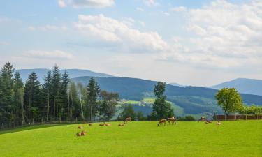 Husdjursvänliga hotell i Miesenbach