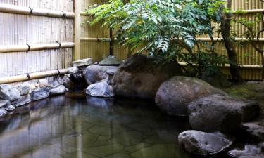 Allotjaments amb onsen a Nasu