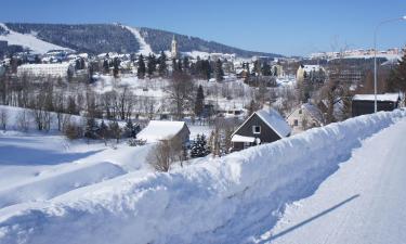 Leiligheter i Oberwiesenthal