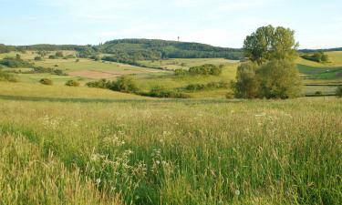 Hotels a Oy-Mittelberg